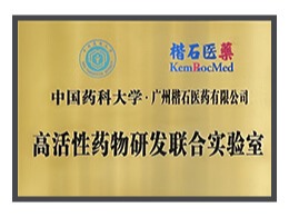 高活性药物研发联合实验室